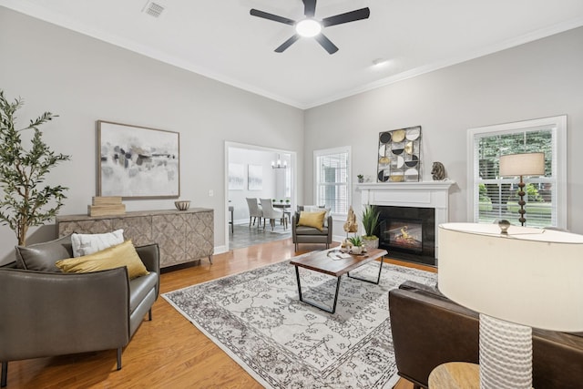 4613 Scottish Dr, Murfreesboro, TN 37128 - living room featuring ceiling fan, light wood finished floors, a fireplace with flush hearth, and crown molding