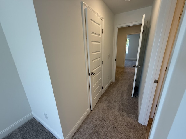 105 Charlie Pl, White House, TN 37188 - photo 65
