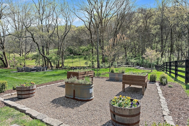 1049 Holly Tree Gap Rd, Brentwood, TN 37027 - view of patio