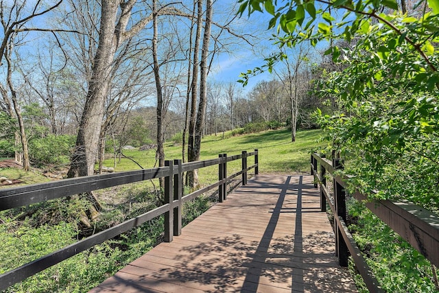 1049 Holly Tree Gap Rd, Brentwood, TN 37027 - dock area featuring a yard