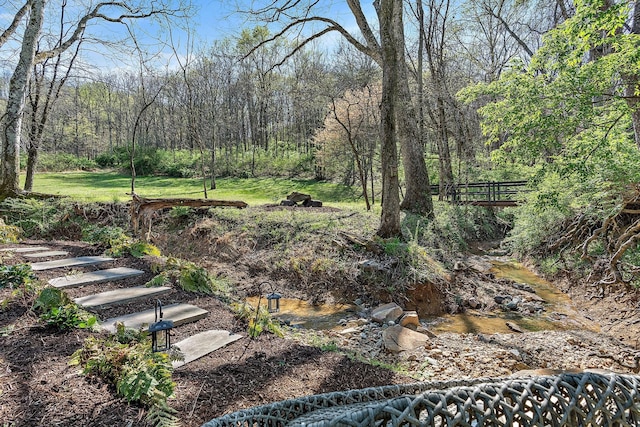 1049 Holly Tree Gap Rd, Brentwood, TN 37027 - view of yard with a forest view