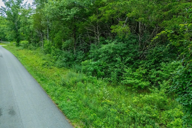 0 Zachary Rd, Lebanon, TN 37090 - photo 14