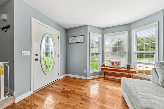 216 Desperado Ave, Pulaski, TN 38478 - entrance foyer featuring light wood-type flooring and plenty of natural light