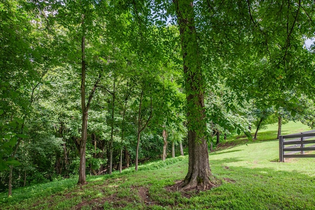 216 Desperado Ave, Pulaski, TN 38478 - view of tree filled area