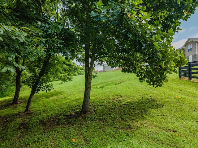 216 Desperado Ave, Pulaski, TN 38478 - view of yard