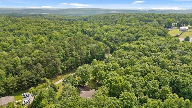 101 Snow Bird Ln, Graysville, TN 37338 - photo 18