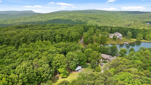 101 Snow Bird Ln, Graysville, TN 37338 - photo 14