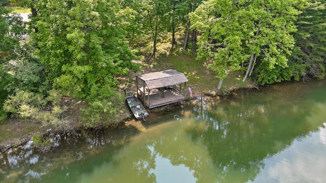 101 Snow Bird Ln, Graysville, TN 37338 - photo 22