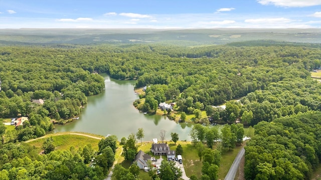101 Snow Bird Ln, Graysville, TN 37338 - photo 23