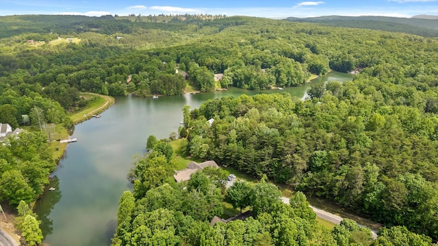 101 Snow Bird Ln, Graysville, TN 37338 - photo 16