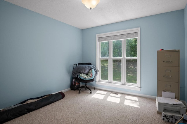101 Snow Bird Ln, Graysville, TN 37338 - photo 48