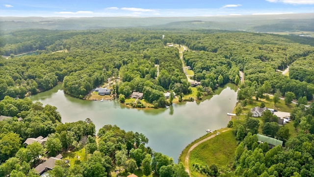 101 Snow Bird Ln, Graysville, TN 37338 - photo 24