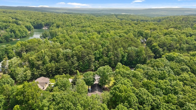 101 Snow Bird Ln, Graysville, TN 37338 - photo 17