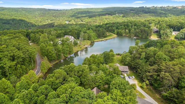 101 Snow Bird Ln, Graysville, TN 37338 - photo 15