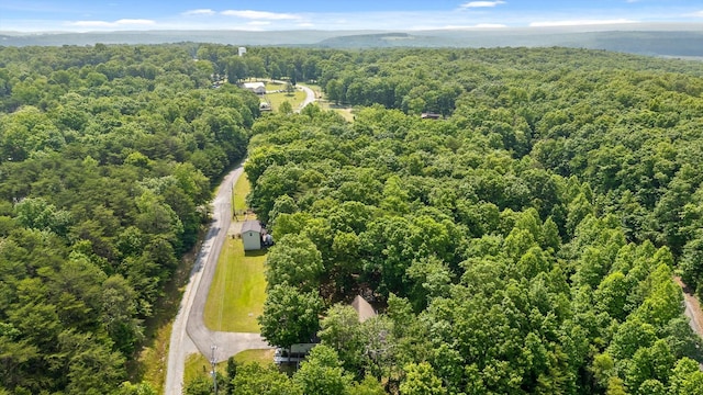 101 Snow Bird Ln, Graysville, TN 37338 - photo 19