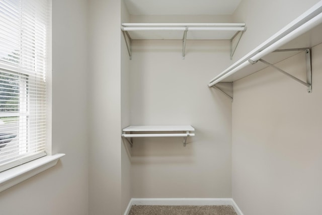 140 Janes Way NE, Cleveland, TN 37323 - walk in closet featuring carpet floors