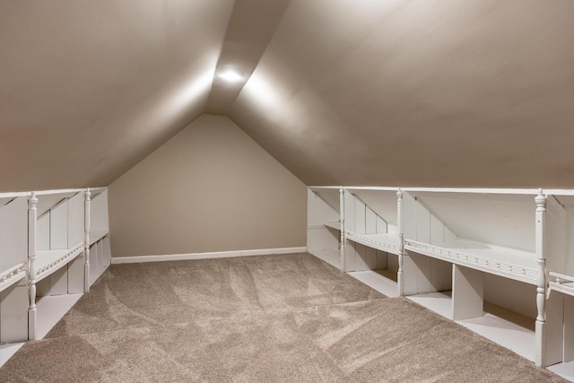 140 Janes Way NE, Cleveland, TN 37323 - bonus room featuring carpet flooring and lofted ceiling