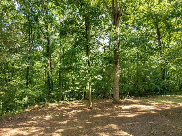 140 Janes Way NE, Cleveland, TN 37323 - view of tree filled area