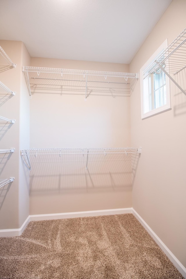 70 Sycamore Hl, Clarksville, TN 37042 - photo 20