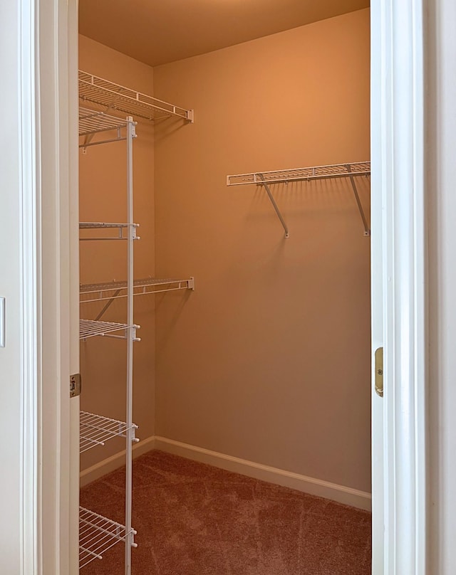 2303 Keegan Dr, Murfreesboro, TN 37130 - photo 14