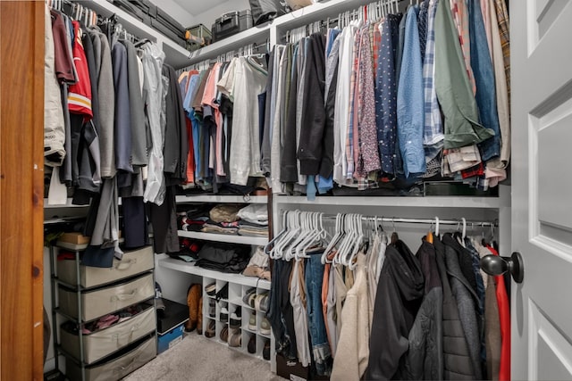 5726 Bridgemore Blvd, Murfreesboro, TN 37129 - walk in closet with carpet flooring