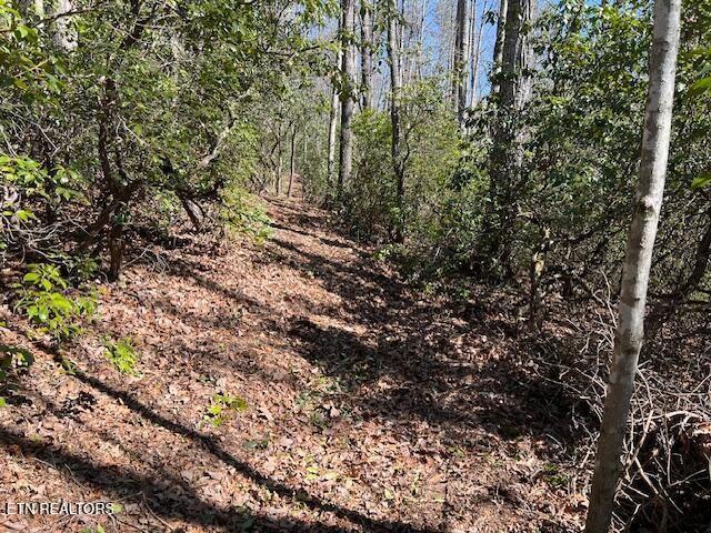 0 Cliff Park Rd, Monterey, TN 38574 - photo 3