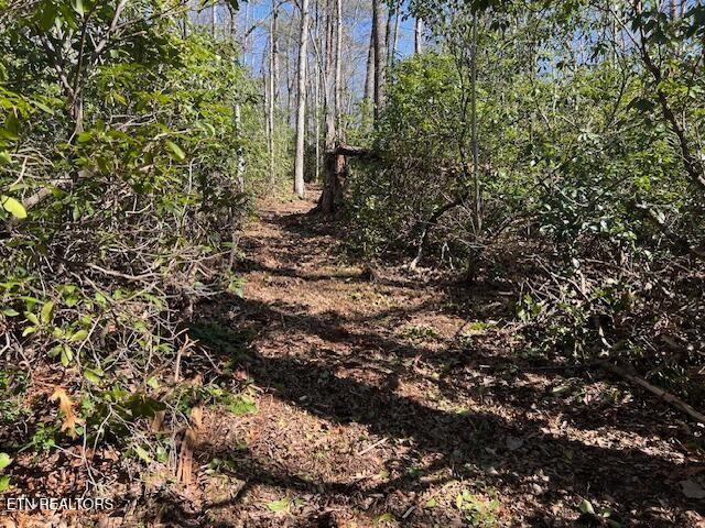 0 Cliff Park Rd, Monterey, TN 38574 - photo 7