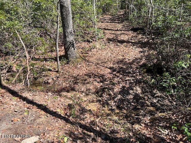 0 Cliff Park Rd, Monterey, TN 38574 - photo 11