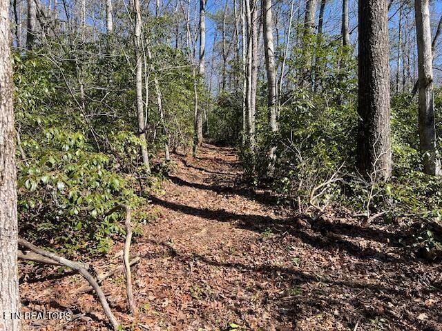 0 Cliff Park Rd, Monterey, TN 38574 - photo 8