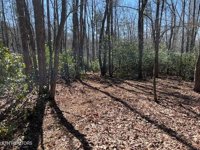 0 Cliff Park Rd, Monterey, TN 38574 - photo 1