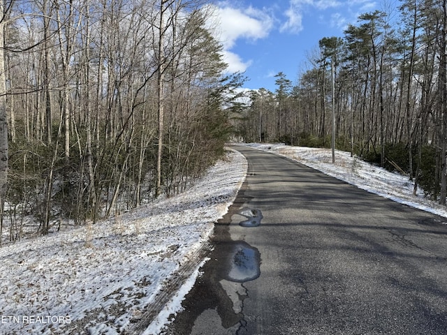 0 Cliff Park Rd, Monterey, TN 38574 - photo 13