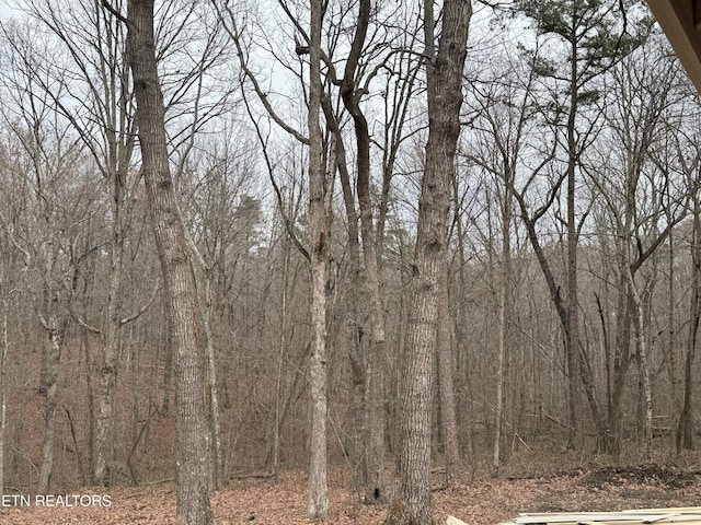 334 Cumberland Cove Rd, Monterey, TN 38574 - photo 5