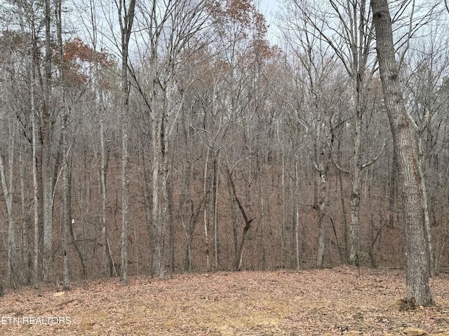 334 Cumberland Cove Rd, Monterey, TN 38574 - photo 34