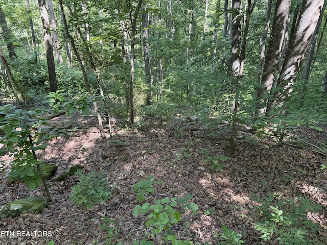 0 Little Pl, Monterey, TN 38574