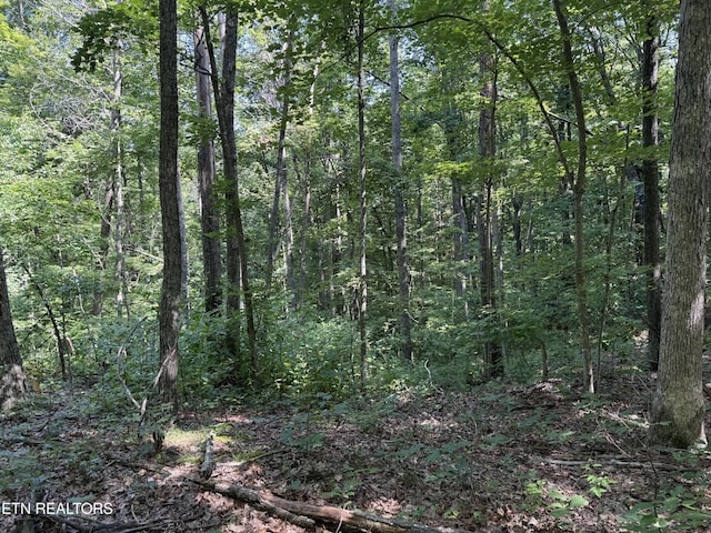 0 Little Pl, Monterey, TN 38574