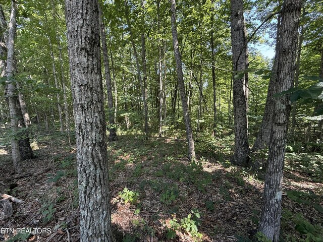 0 Little Pl, Monterey, TN 38574