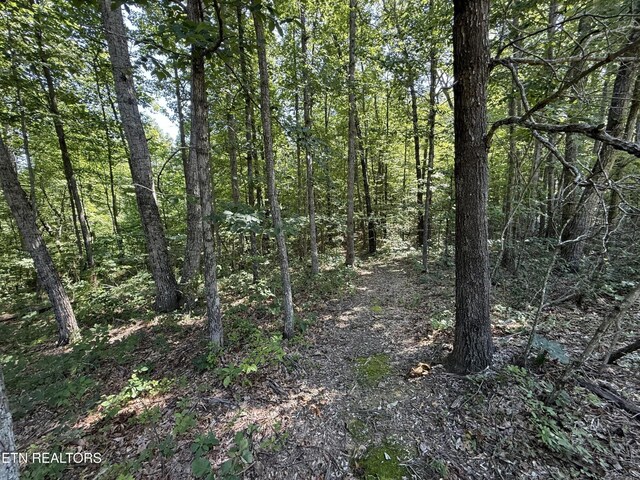 0 Little Pl, Monterey, TN 38574