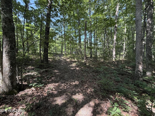0 Little Pl, Monterey, TN 38574
