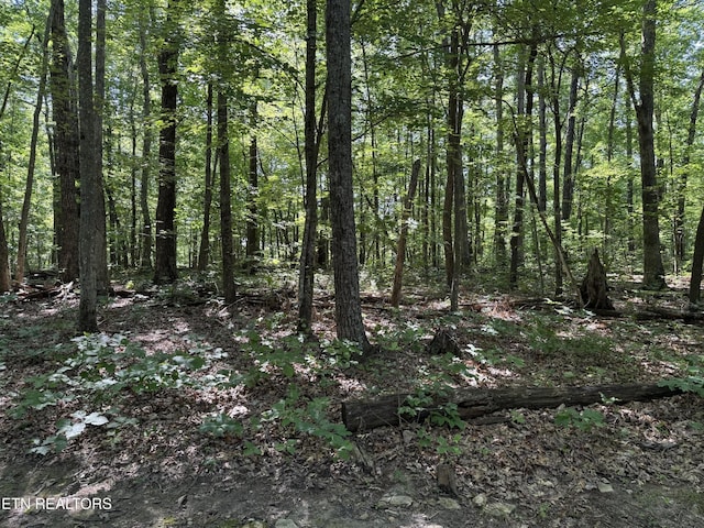 0 Little Pl, Monterey, TN 38574