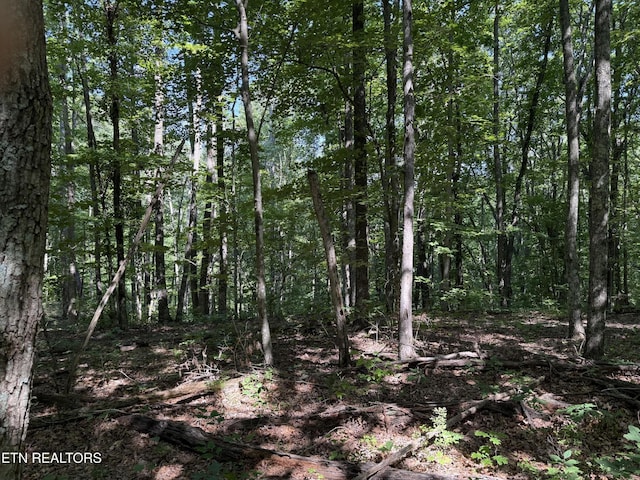 0 Little Pl, Monterey, TN 38574
