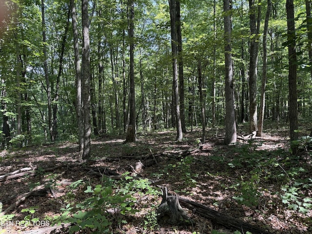 0 Little Pl, Monterey, TN 38574