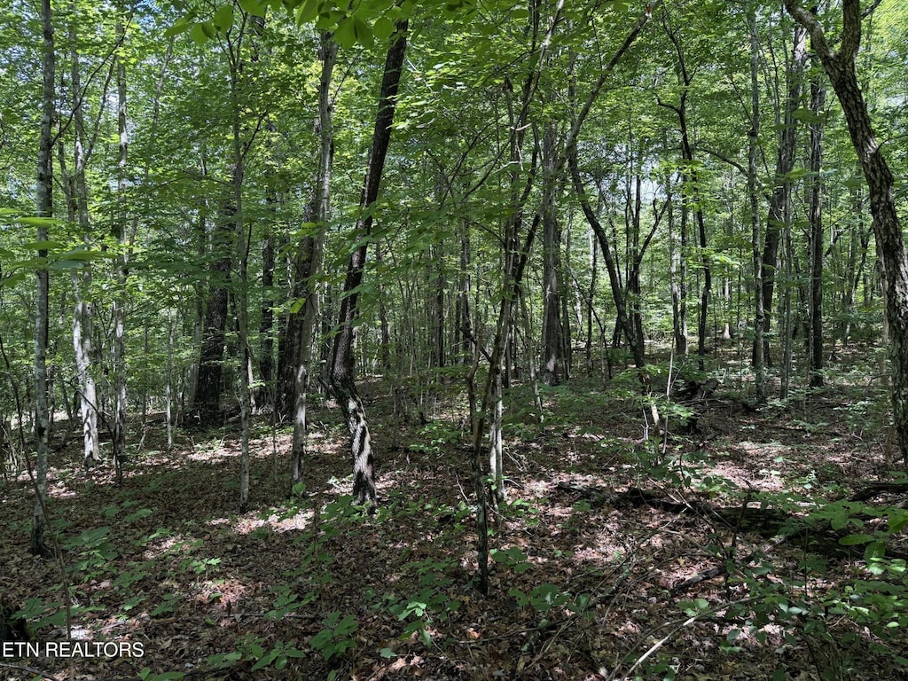 0 Icy Cove Trl, Monterey, TN 38574 - photo 3