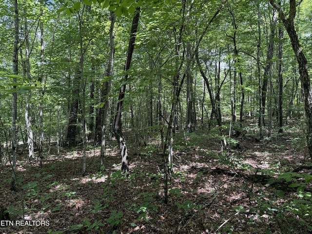 0 Icy Cove Trl, Monterey, TN 38574 - photo 3