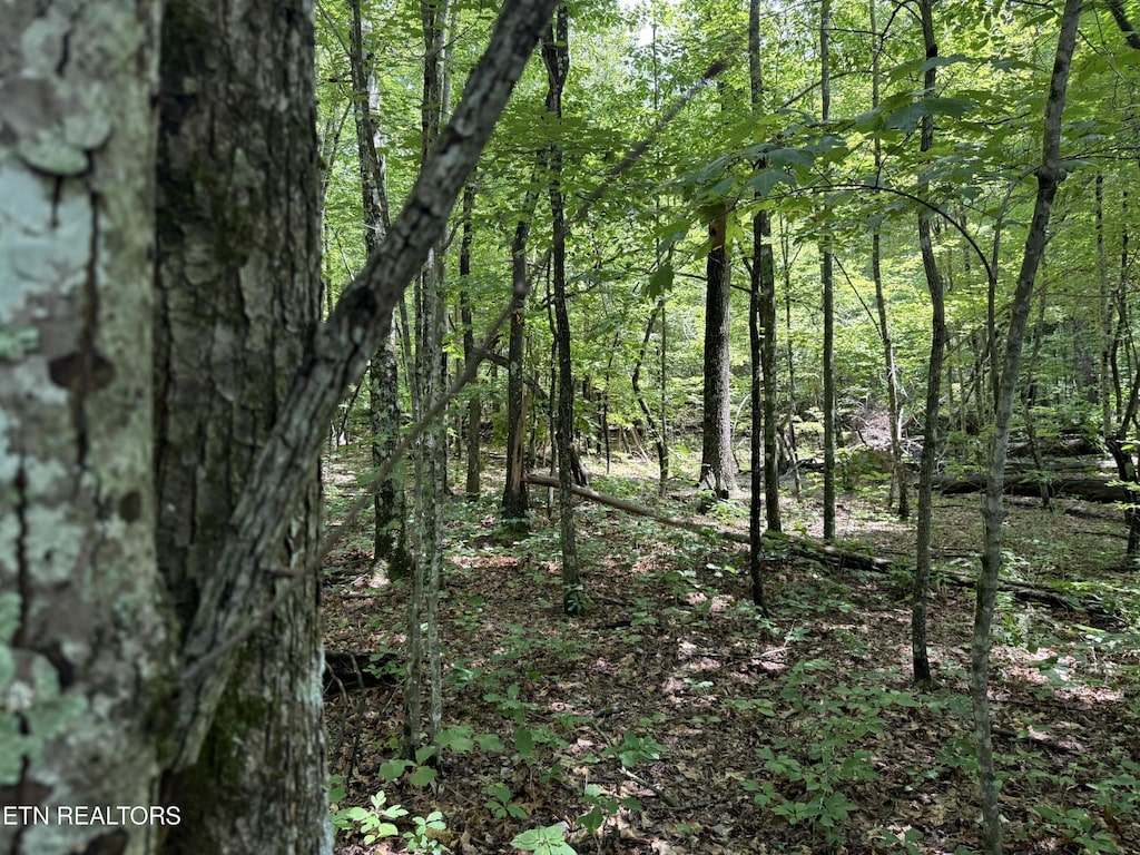 0 Icy Cove Trl, Monterey, TN 38574 - photo 1