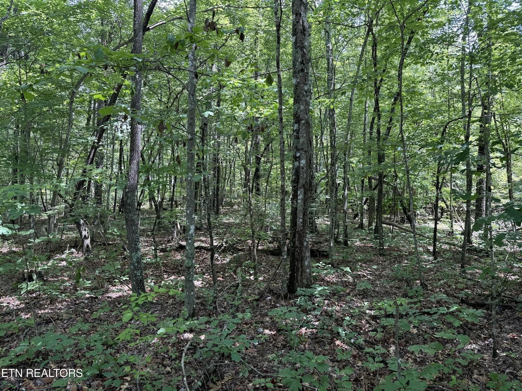 0 Icy Cove Trl, Monterey, TN 38574 - photo 2