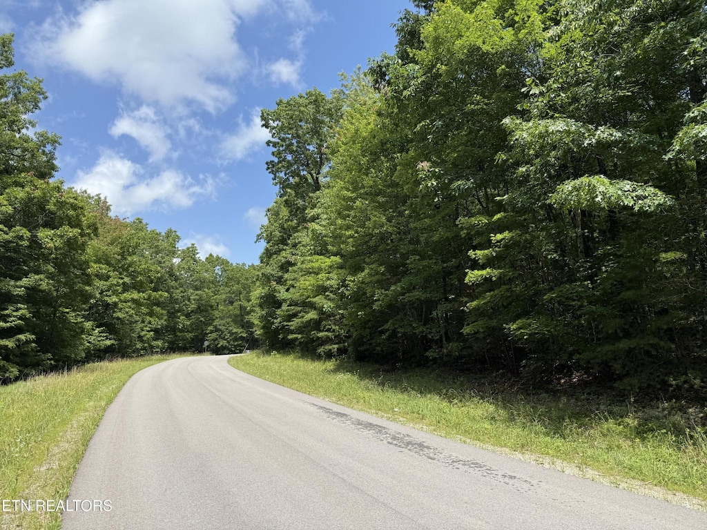 0 Icy Cove Trl, Monterey, TN 38574 - photo 4