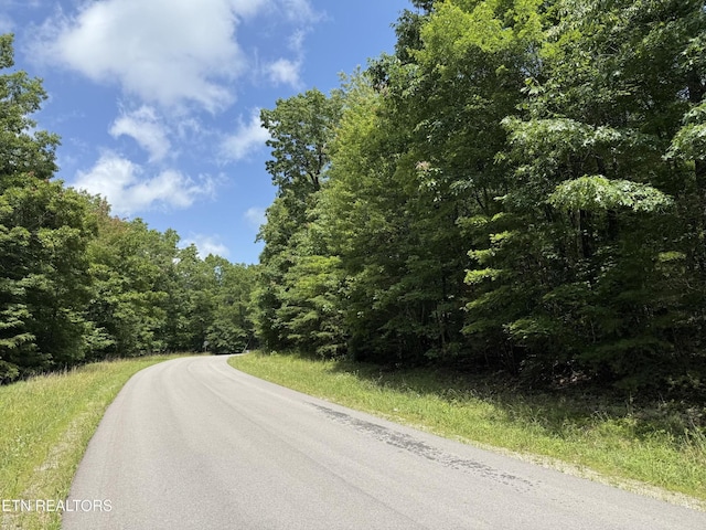 0 Icy Cove Trl, Monterey, TN 38574 - photo 4