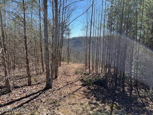 1247 Wind Rush Way, Monterey, TN 38574 - photo 2