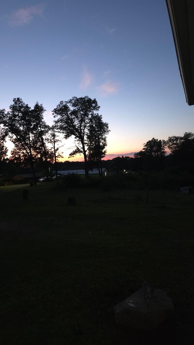 145 Michelle Ln, Winchester, TN 37398 - view of yard