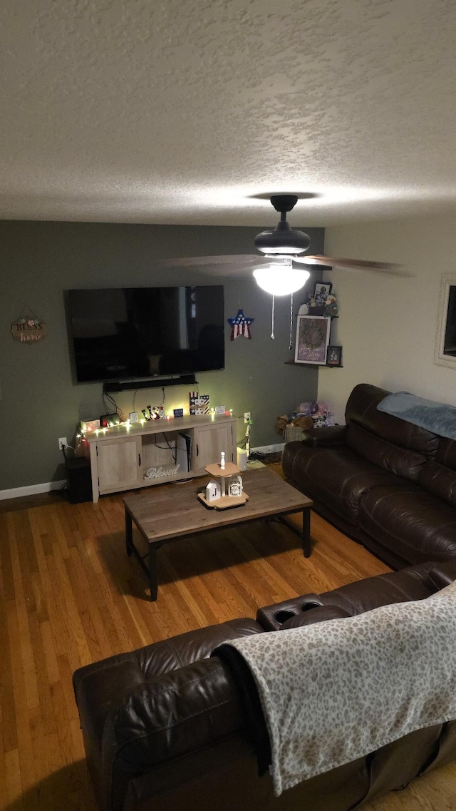 145 Michelle Ln, Winchester, TN 37398 - living room featuring wood finished floors and a textured ceiling